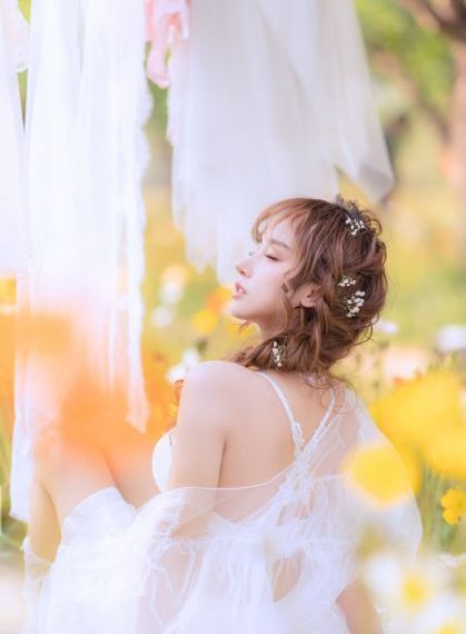 藏海花之幽谷迷巢