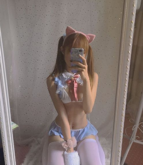 cupfox茶杯狐