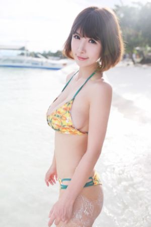 梅花红桃电视剧40集免费观看